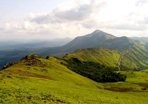 Stag Life Chickmagalore