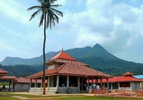 Stag Life Chickmagalore